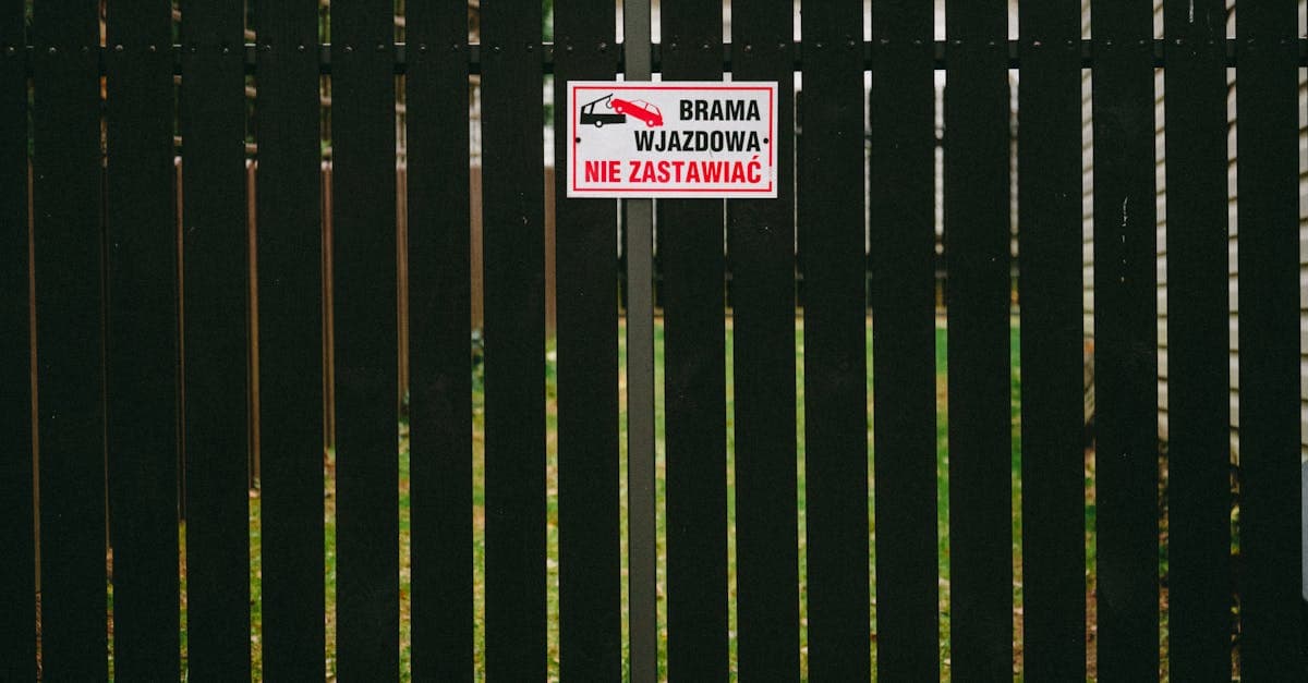 Can You Drive in Florida During an Insurance Lapse?