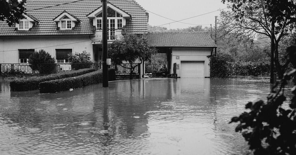 Cover Image for Sump Pump Failure Coverage: Protecting Your Basement