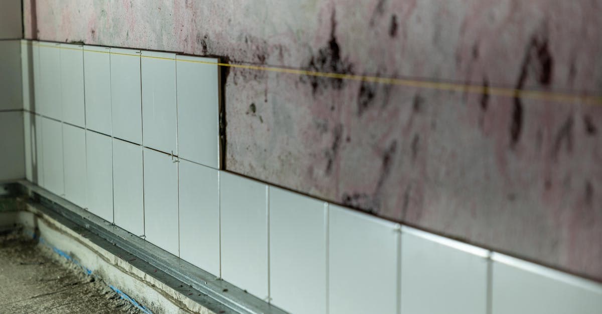 Cover Image for Mold and HVAC Systems: Coverage for Ductwork Contamination