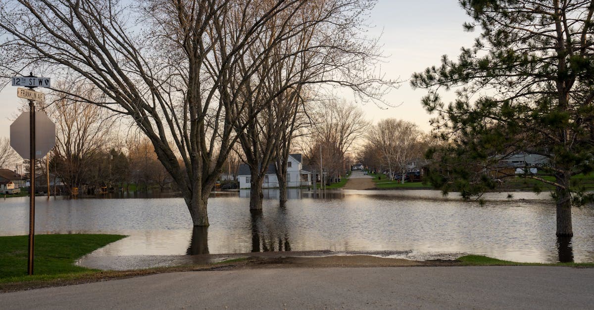Flood Insurance and FEMA Flood Maps: How Maps Determine Your Premium