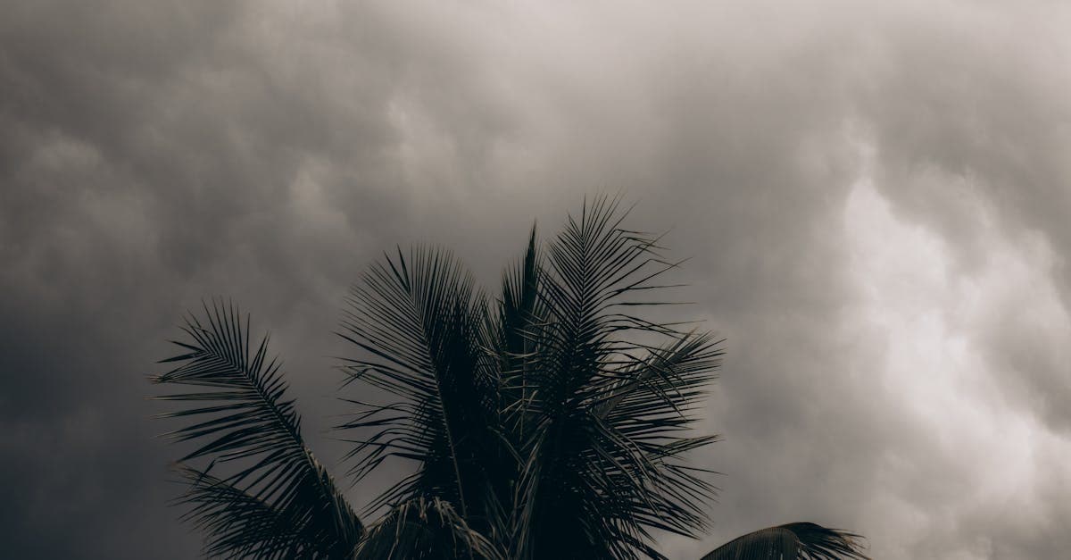 Financial Planning for Hurricane Deductibles During Active Seasons