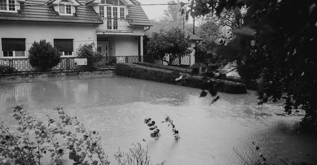 Cover Image for The Complete Guide to Water Damage Insurance: Flood vs Homeowners vs Sewer Backup
