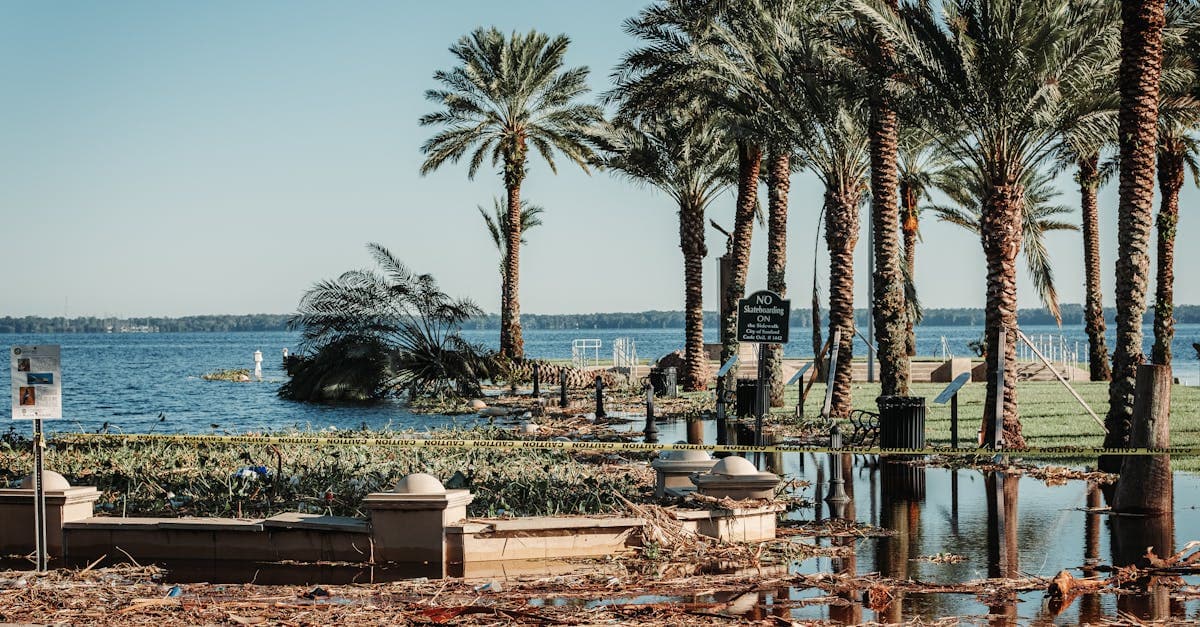 Cover Image for Can You Buy Down Your Florida Hurricane Deductible? Understanding Buyback Options