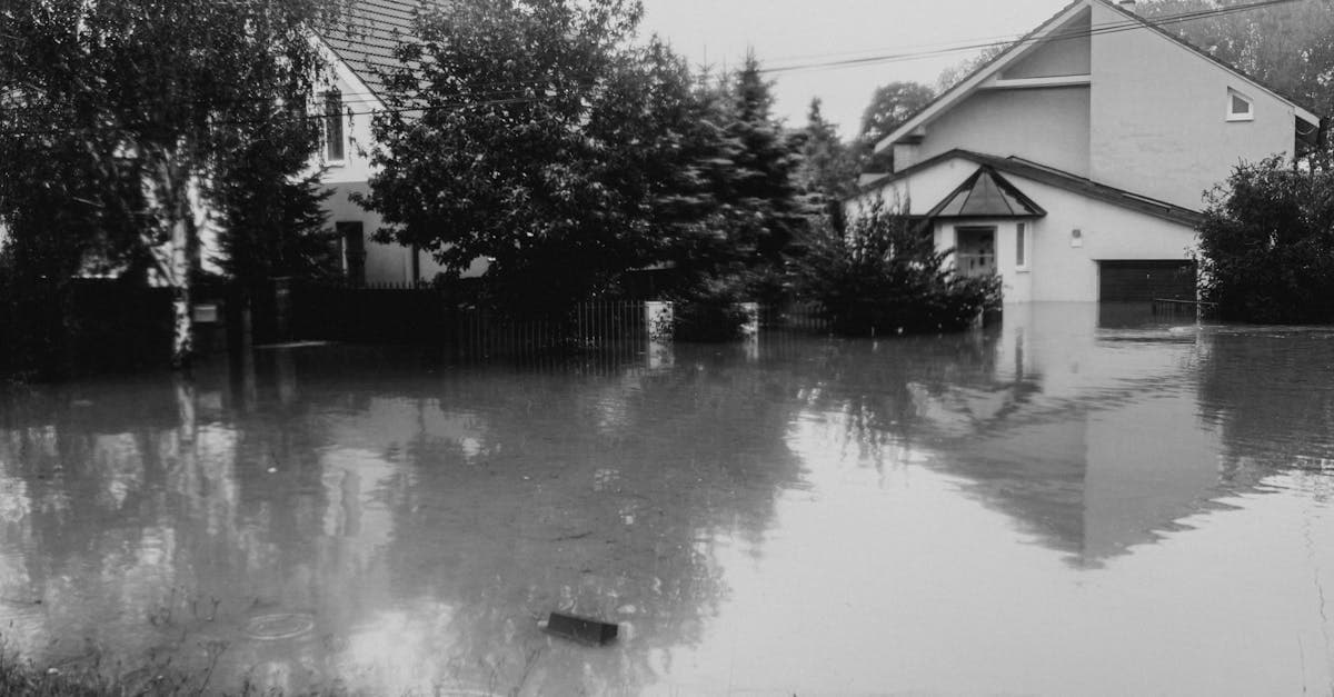 Flood Insurance After Your Neighbor Got Flooded: Is It Too Late?