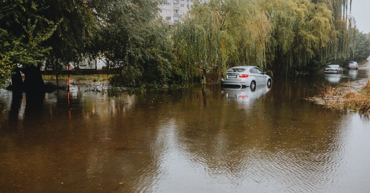 How to Check if Your Condo Association Has Adequate Flood Insurance